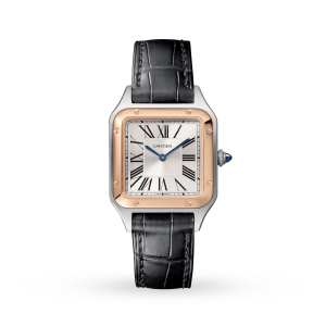 Cartier Santos Dumont Ladies Silver 27mm watch