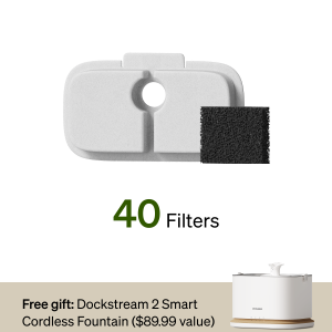 18-Month Filter & Free Fountain Combo