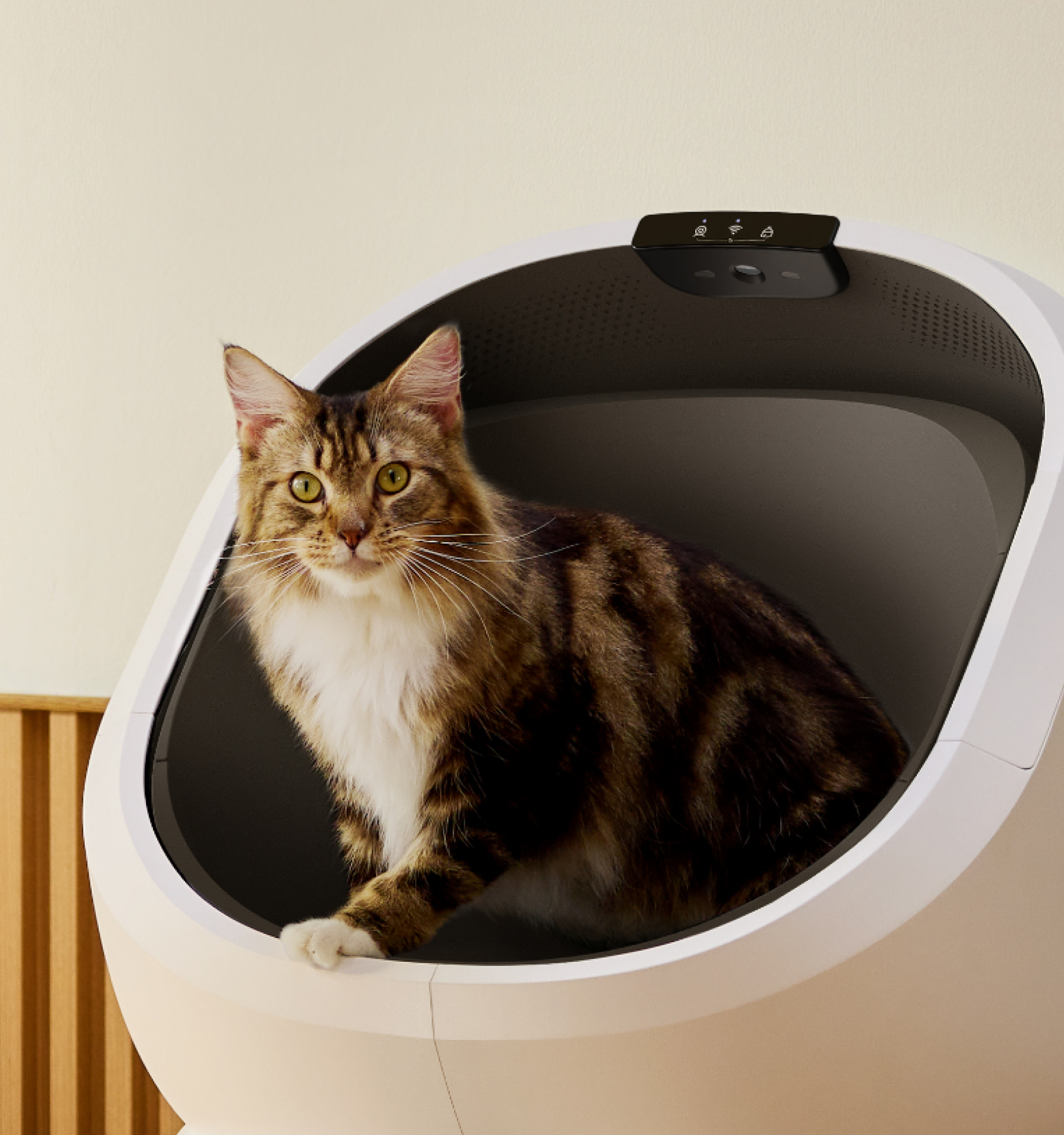 Luma Smart Litter Box with gift - Imagem 5