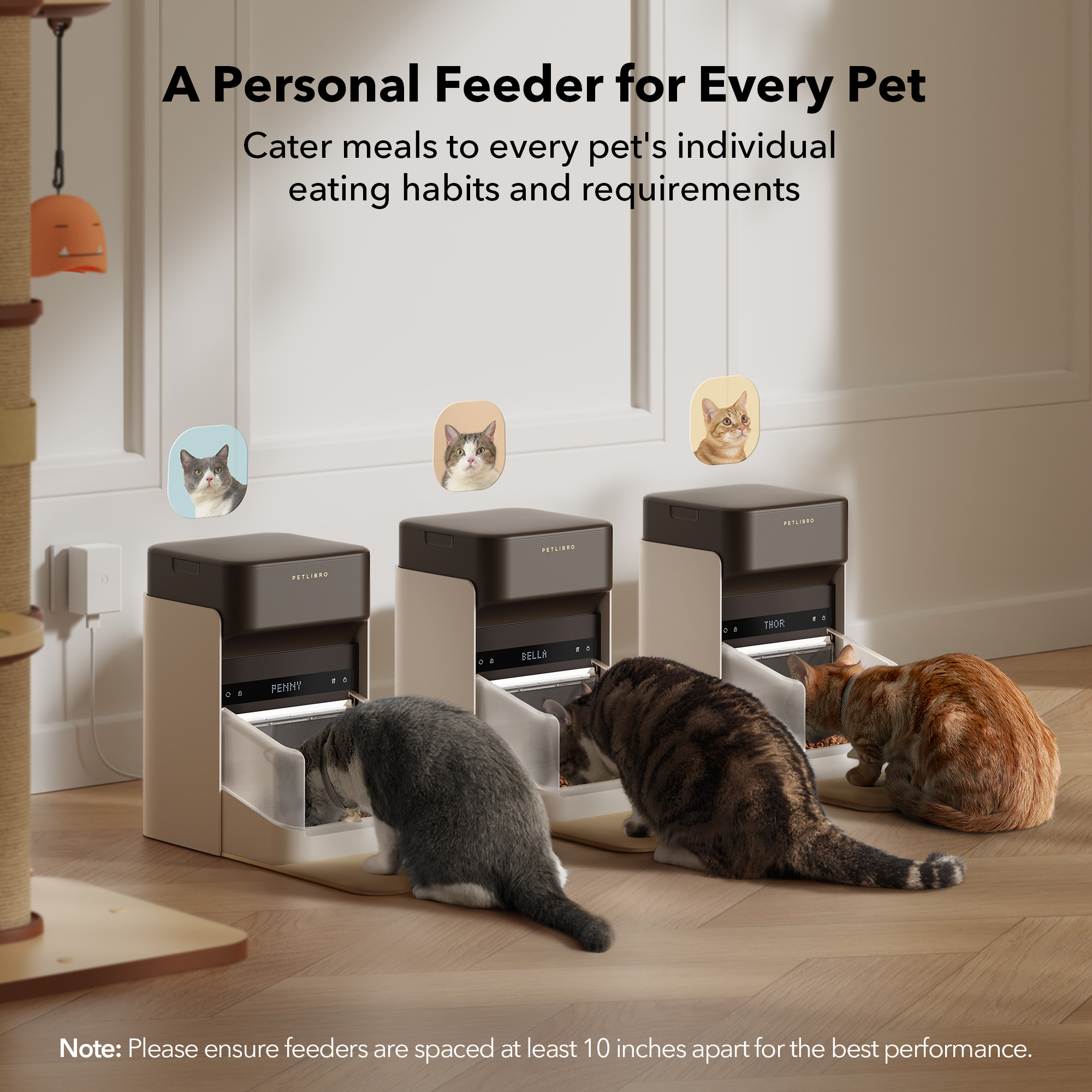 One RFID Smart Feeder - Imagem 2