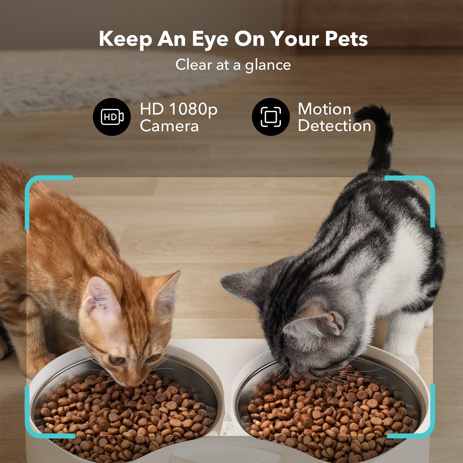 Granary Smart Camera Feeder Dual Bowl - Imagem 2