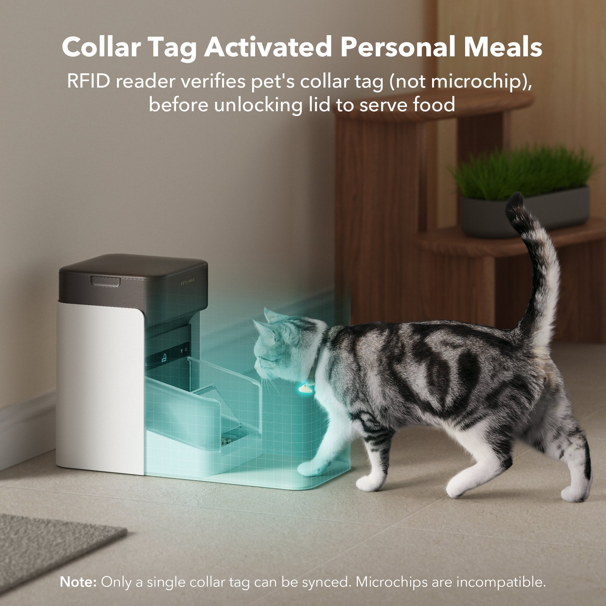 One RFID Smart Feeder - Imagem 3