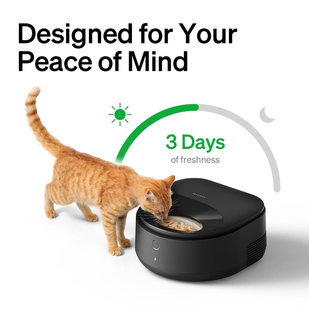 Polar Wet Food Feeder & RFID Smart Fountain Bundle - Imagem 3