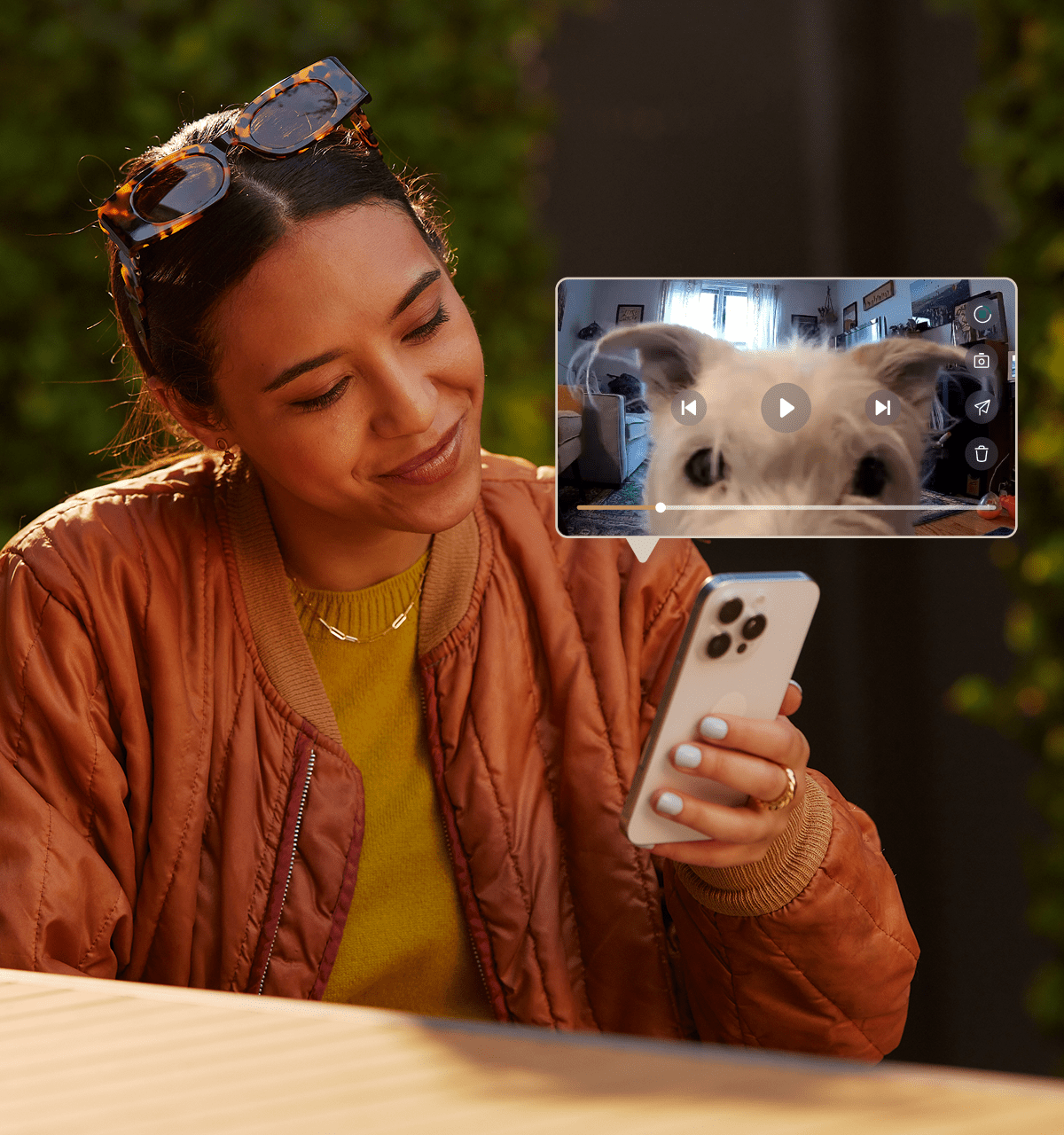 Petlibro Video Cloud AI - Imagem 6