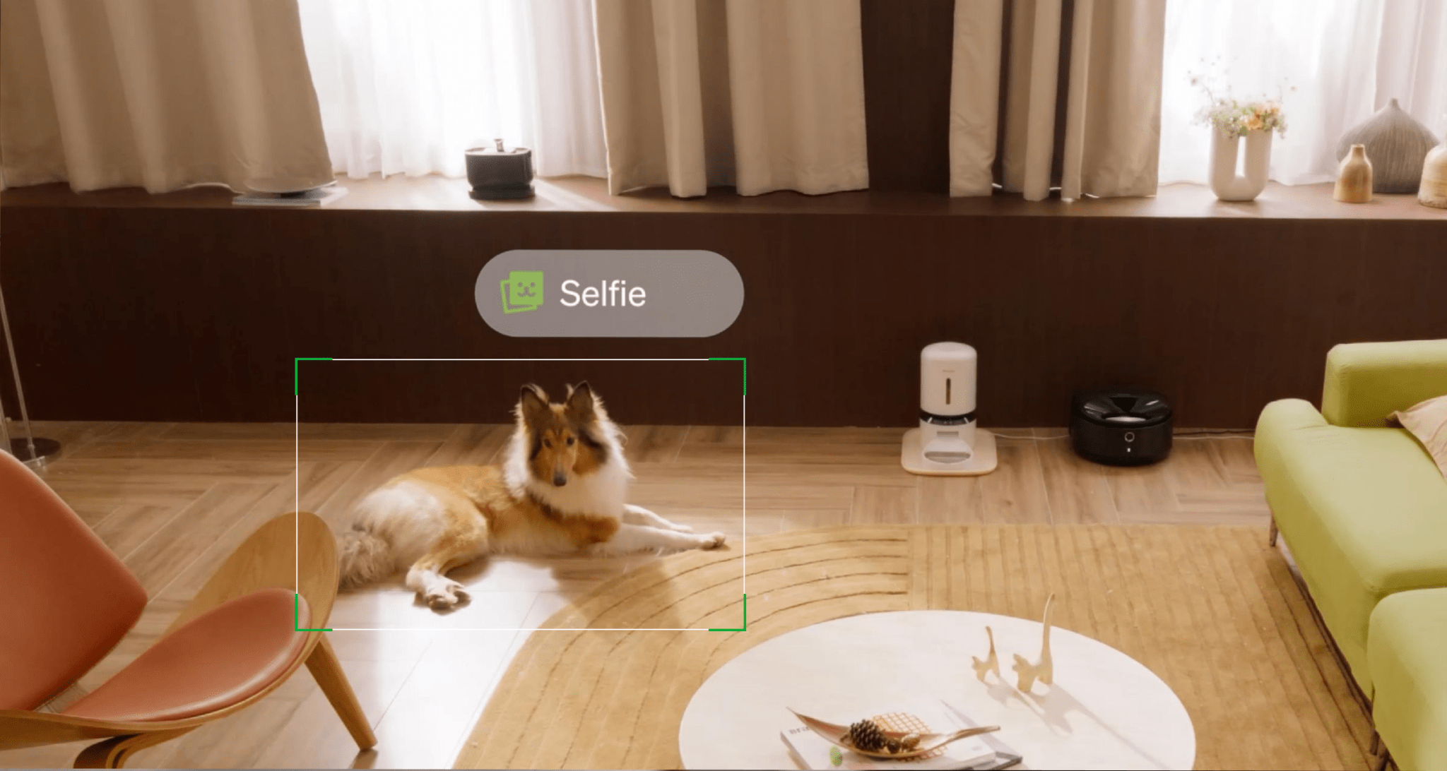 Petlibro Video Cloud AI - Imagem 7